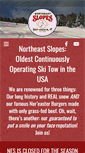 Mobile Screenshot of northeastslopes.org